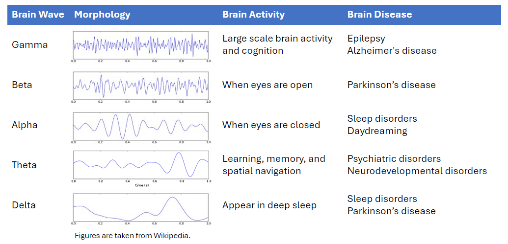 图1：大脑信号波动与相关的大脑活动示例